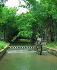 陽江北甘竹溪公園：竹溪幽夢，城市綠韻。