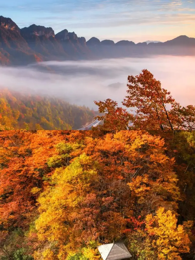 The autumn scenery of Guangwushan Mountain is so beautiful that it will bring you to tears. 