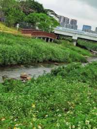 深圳｜隱匿於繁華都市的心靈綠洲，徒步騎行的絕佳勝地。
