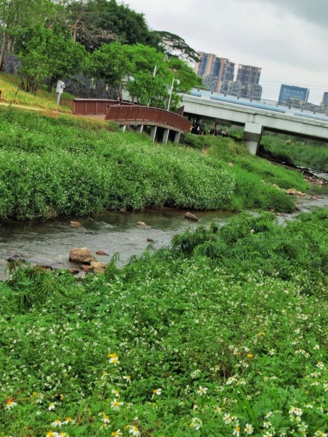 深圳｜隱匿於繁華都市的心靈綠洲，徒步騎行的絕佳勝地。