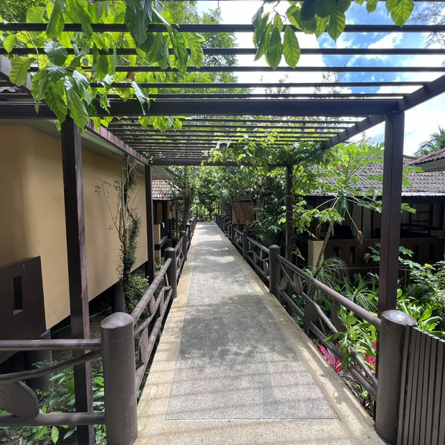 Tides & Treasures: A Phuket Adventure