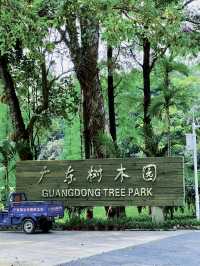 廣州天河區樹木公園|地鐵直達的草地溪流森林地。