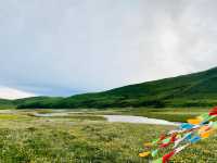 俄么塘花海輕鬆遊|||這裡不需要爬山，開車直達。