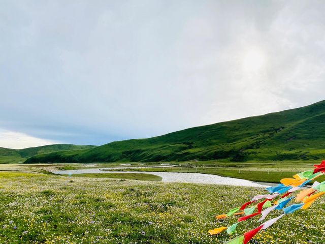 俄么塘花海輕鬆遊|||這裡不需要爬山，開車直達。