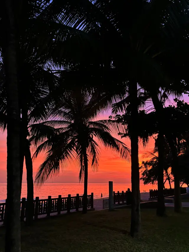 三亞 海南｜放鬆遊玩好去處。