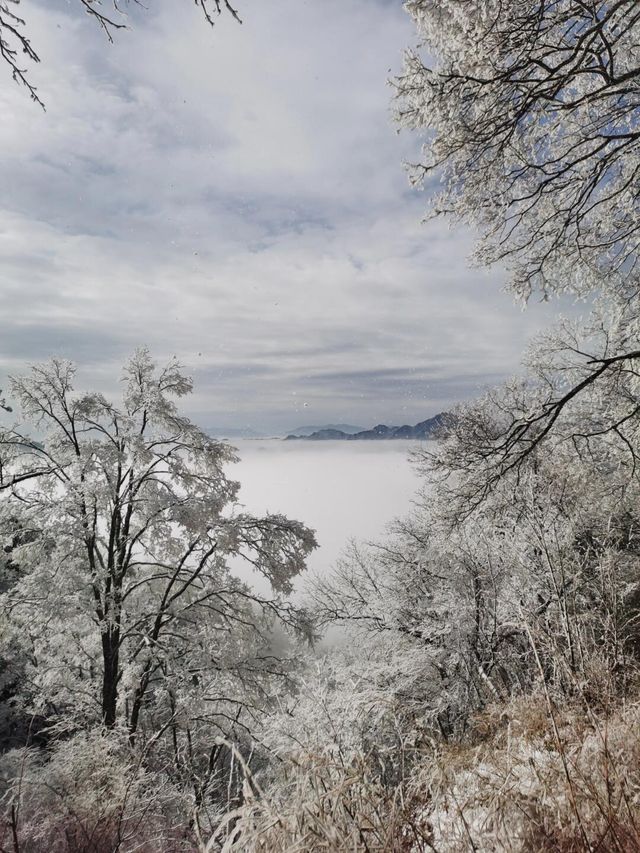 秦嶺—跑馬梁。