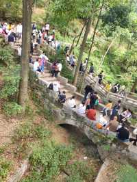 只有貴州才有的免費動物園。