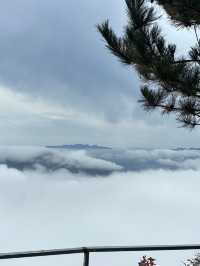 鎮安海棠山|雲海深處見海棠。