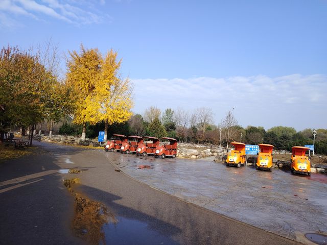 秋天裡的南海子公園。