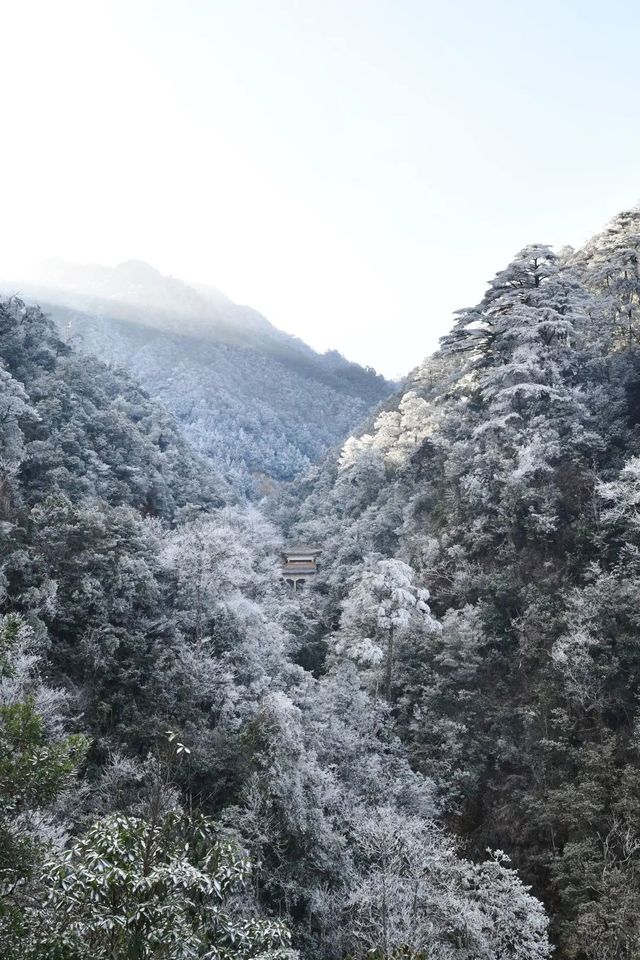 你沒看錯，不出廣東也能賞雪泡湯！