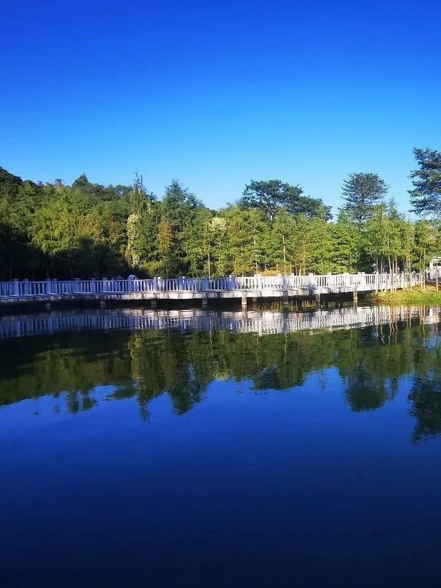 就在廣州，有一個可與大理媲美的地方，露營、野餐、釣魚、騎行。
