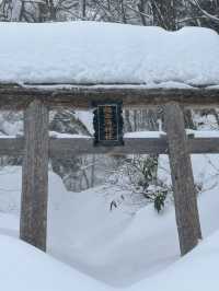 Experience the Enchanting Snowy Wonderland of Japan