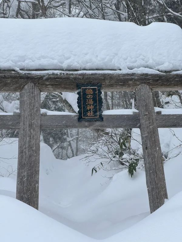 Experience the Enchanting Snowy Wonderland of Japan