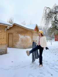 烏魯木齊║雪後的植物園怎麼韓里韓氣的～。