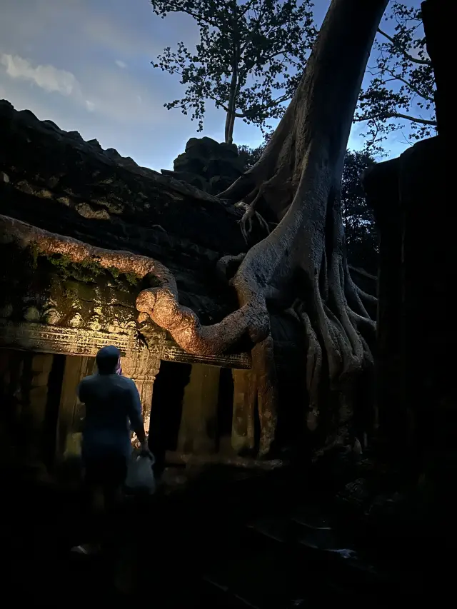 Exploring Angkor Wat at Night: The Deserted Ta Prohm Temple