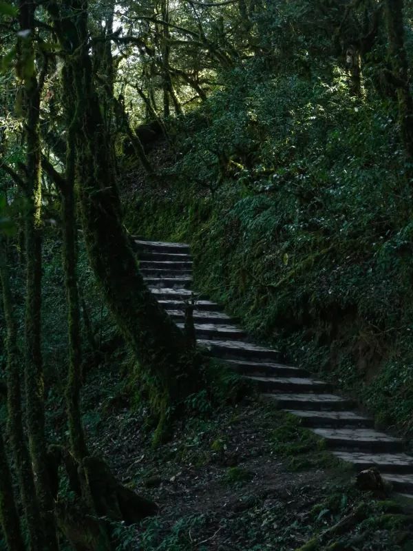 超適合小白的哀牢山體驗版徒步路線