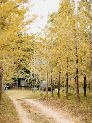 Longyan to Meizhou Citywalk 2-Day Leisure Tour Guide