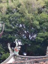 本地人都不知道的武當山——泉州真武廟