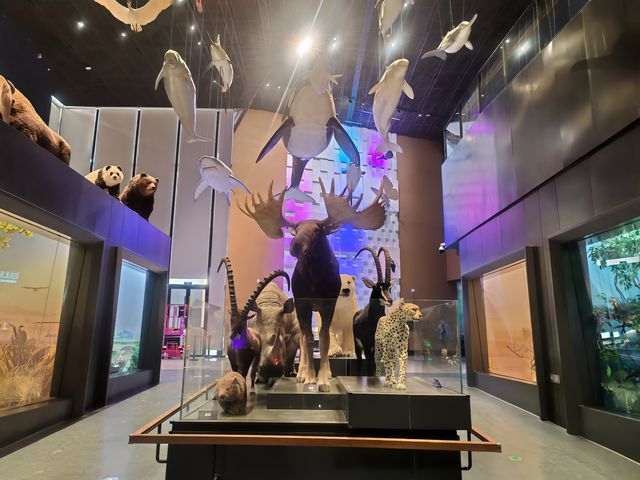 中國古動物館