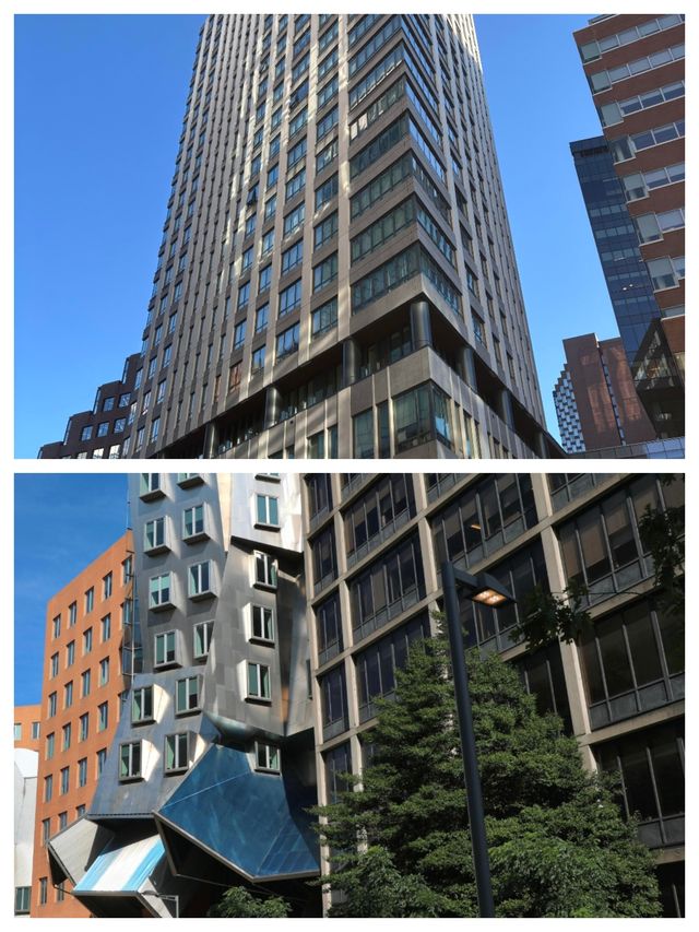 探索學術殿堂 —— 美國劍橋旅遊