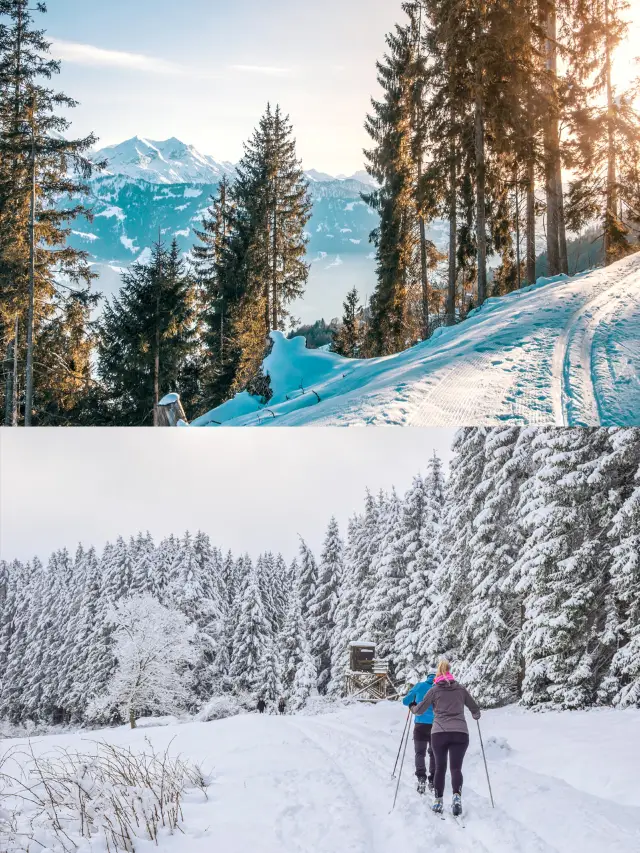 5-Day 4-Night Dreamy Winter Trip to the UK