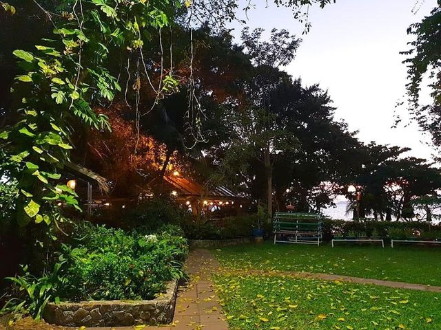 鳥與蜂度假村 | 芭堤雅自然天堂 