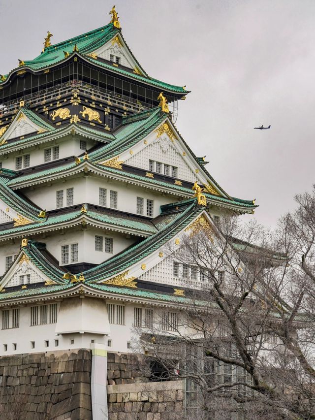 7日深度遊玩轉日本的秘密攻略