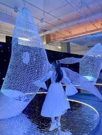 上海免費新展一起來「摸魚」！
