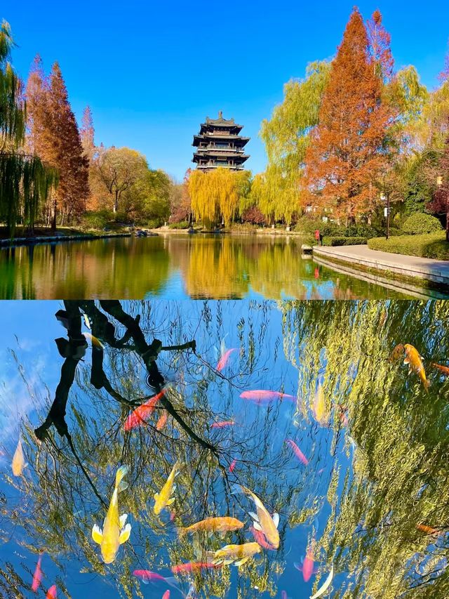濟南嘅跨年姿勢真係令我破大防！