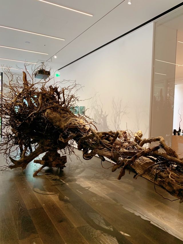 上生新所絕美新展，緩慢的歸鄉