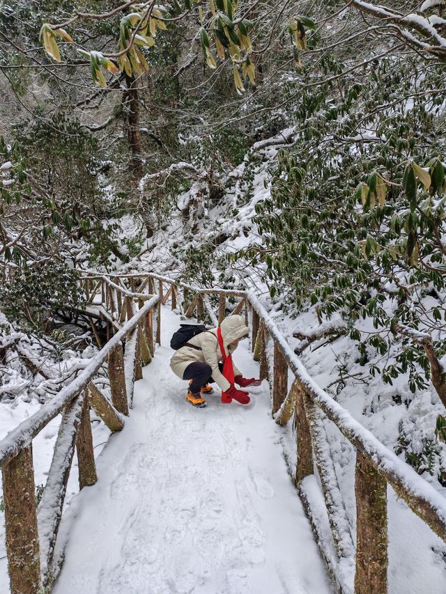 龍蒼溝天生橋景區