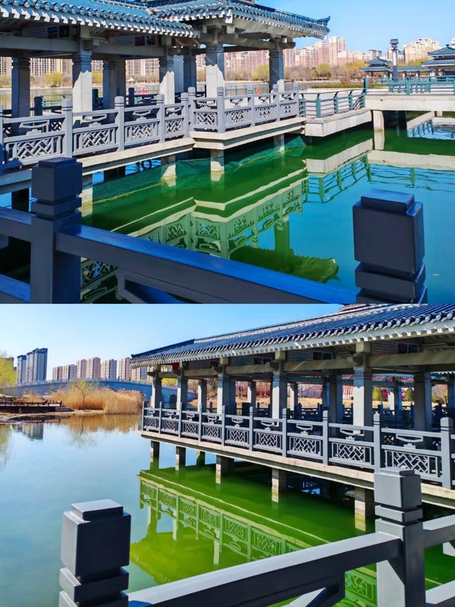 齊盛湖公園，城市中的綠洲