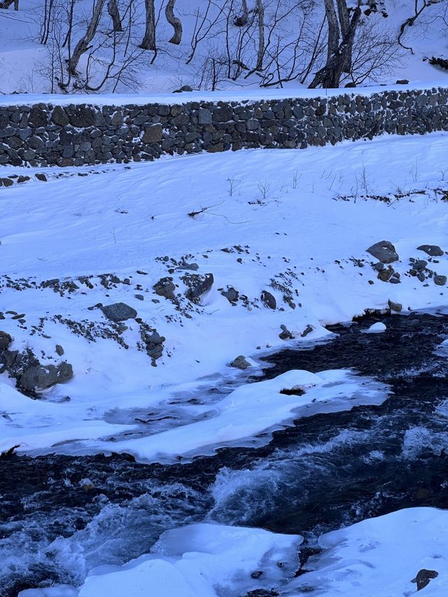 哈爾濱-雪鄉-延吉｜真溫泉度假全攻略別錯過