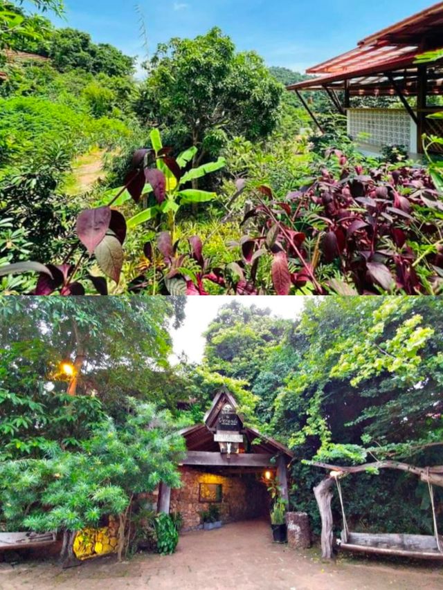 藏在自然裏的治癒時光 | 陽台自然度假村