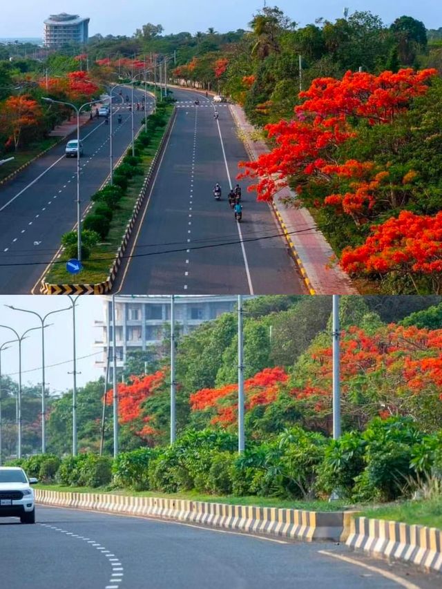 柬埔寨白馬市