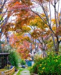 武漢周邊小江南—東山問梅村旅遊攻略