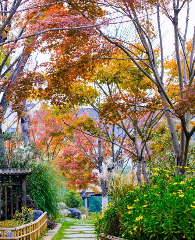 武漢周邊小江南—東山問梅村旅遊攻略