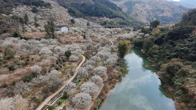 福州永泰，溪流、溫泉、賞梅、徒步齊活了