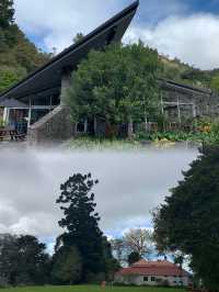 旺阿雷旅行攻略來啦！新西蘭北島的寶藏之地