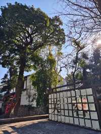 楠溪江邊的鄉土時光