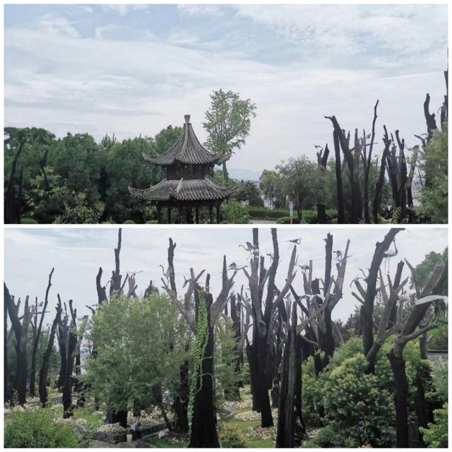 老子天下第一～安慶五千年文博園