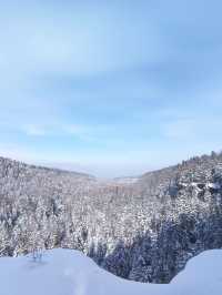 長春-長白山-延吉老友記超全旅遊攻略來啦