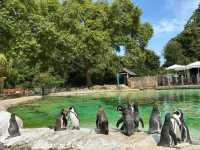 The London Zoo is surely a must visit