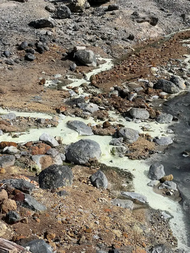 3일 동안 일본 여행하기 초상세 가이드가 왔어요