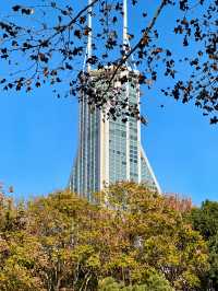 上海人民公園，好天氣裏的絕美出片聖地