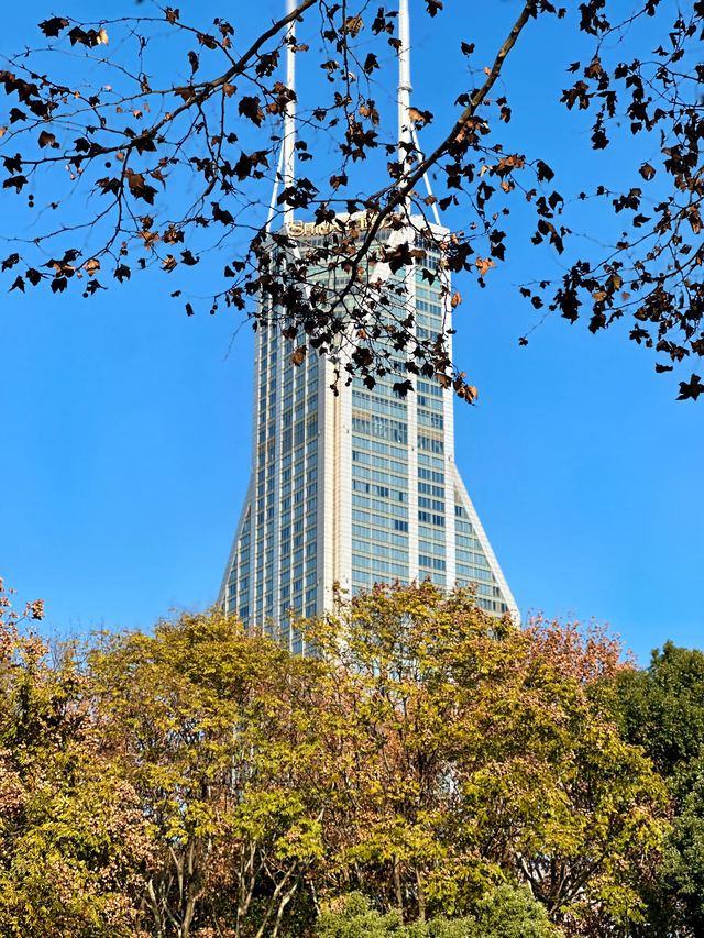 上海人民公園，好天氣裏的絕美出片聖地