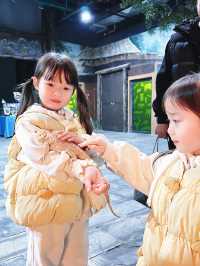 2025最新舟山長喬海洋&雨林動物公園攻略