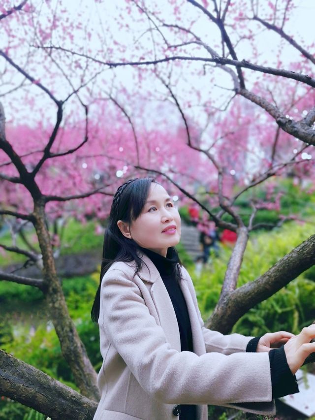 重慶踏青賞梅之彩雲湖