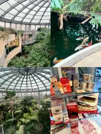 冬日闖進桑德蘭，邂逅藏在花園裏的春日溫柔