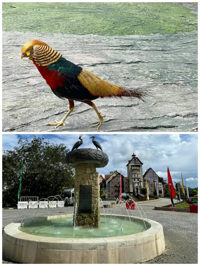 【말레이시아 벤톰 여행 가이드】